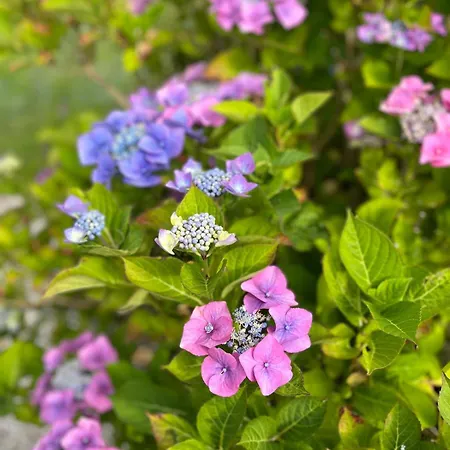 Apartment The Loft *