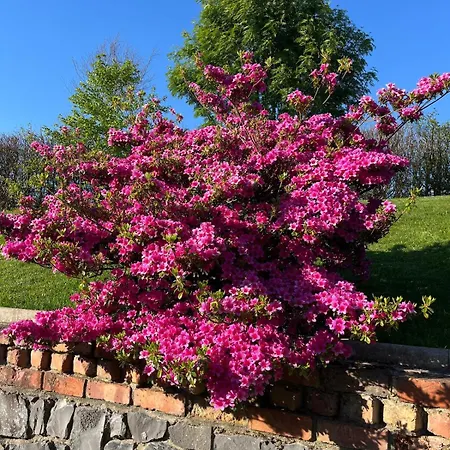 The Loft Апартаменты Clonmore