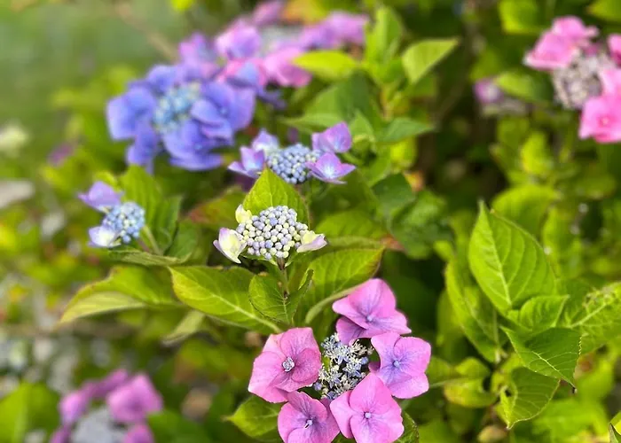 Апартаменты The Loft *