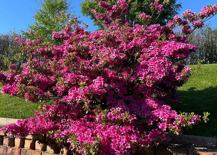 The Loft 公寓 Clonmore